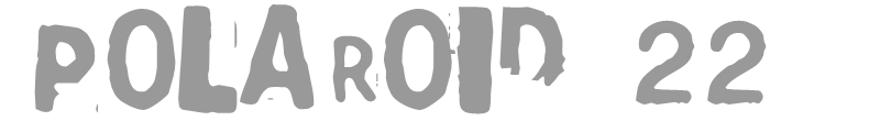 Polaroid 22