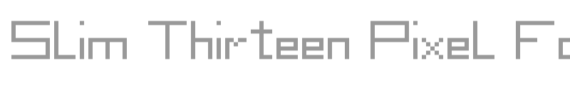 Slim Thirteen Pixel Fonts