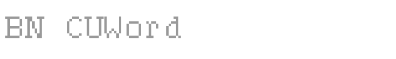 BN CUWord