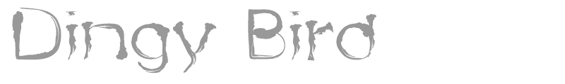 Dingy Bird