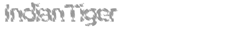 IndianTiger