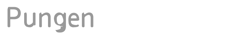 Pungen