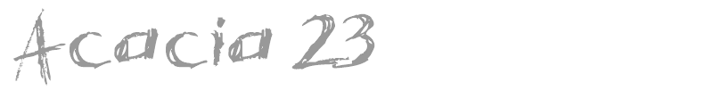 Acacia 23
