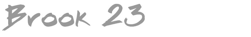 Brook 23
