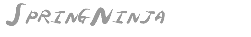 SpringNinja