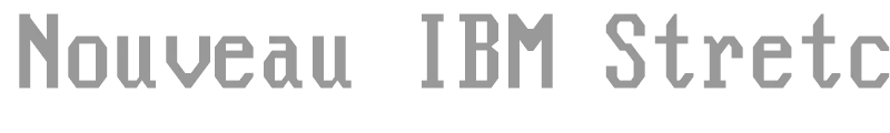 Nouveau IBM Stretch
