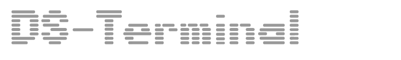 DS-Terminal