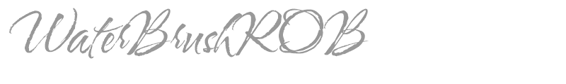 WaterBrushROB