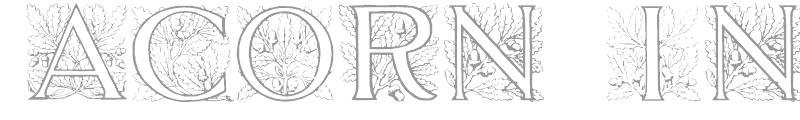 Acorn Initials