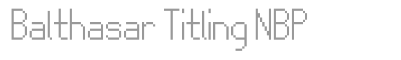 Balthasar Titling NBP