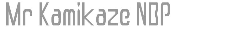 Mr Kamikaze NBP