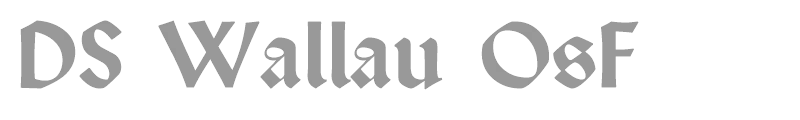 DS Wallau OsF