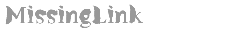 MissingLink