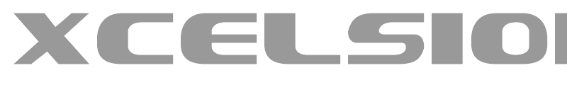Xcelsion Italic