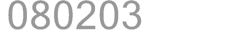 080203