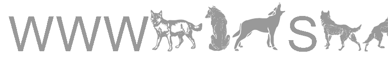 WWWolfSpirit