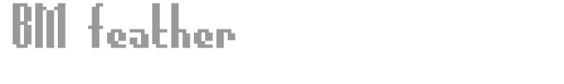 BM feather