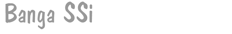 Banga SSi