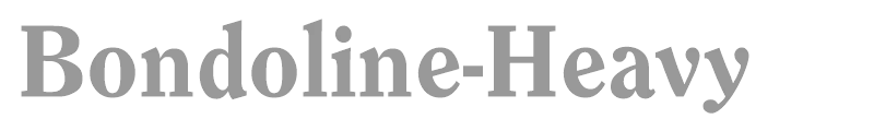Bondoline-Heavy