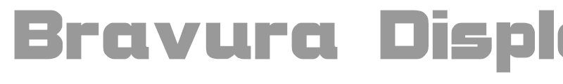Bravura Display SSi