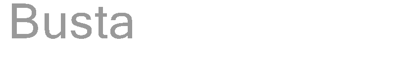 Busta
