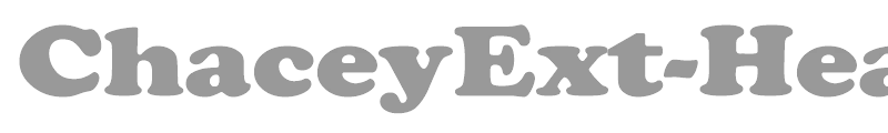 ChaceyExt-Heavy