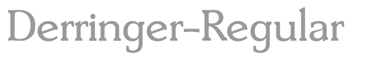 Derringer-Regular
