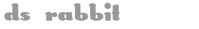 DS Rabbit