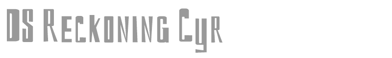 DS Reckoning Cyr