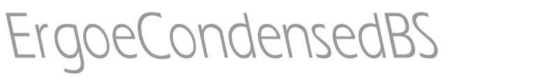 ErgoeCondensedBS