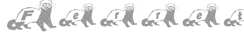 Ferret Body