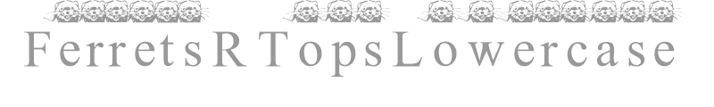 FerretsRTopsLowercase
