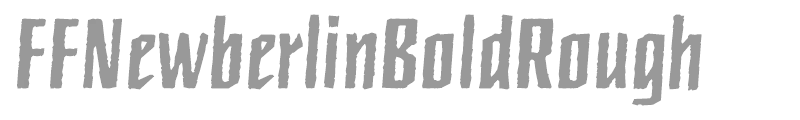 FFNewberlinBoldRough