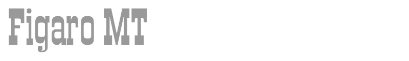 Figaro MT