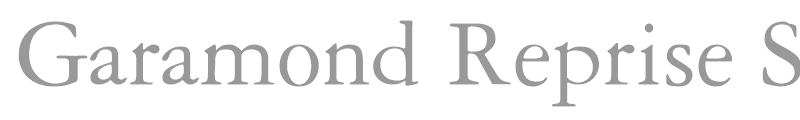 Garamond Reprise SSi