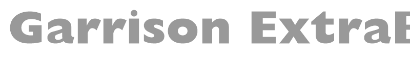 Garrison ExtraBold Sans
