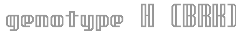 genotype H (BRK)