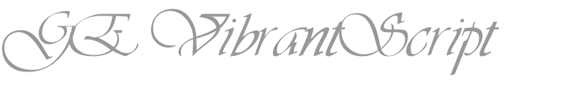GE VibrantScript
