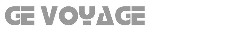 GE Voyage