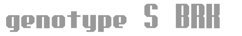 genotype S BRK