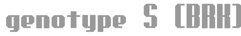 genotype S (BRK)