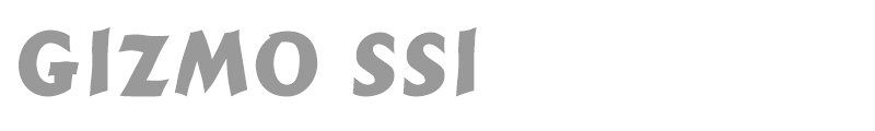 Gizmo SSi