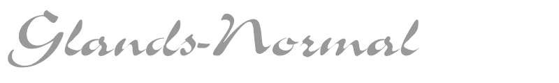 Glands-Normal