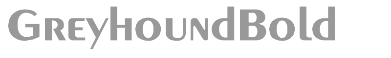 GreyhoundBold