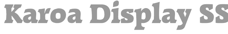 Karoa Display SSi