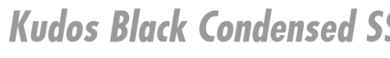 Kudos Black Condensed SSi