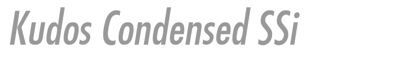 Kudos Condensed SSi