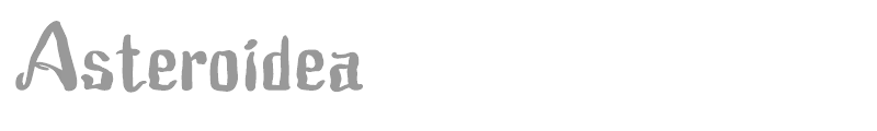 Asteroidea