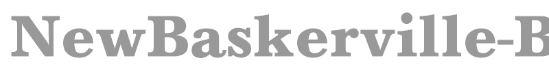 NewBaskerville-Bold