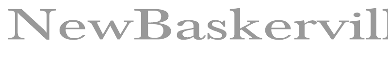 NewBaskerville-Normal Ex